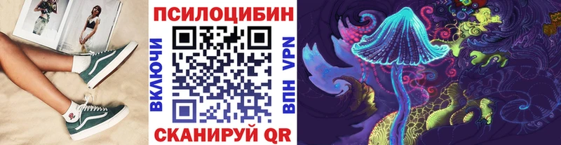 Галлюциногенные грибы Psilocybe  наркотики  Подпорожье 